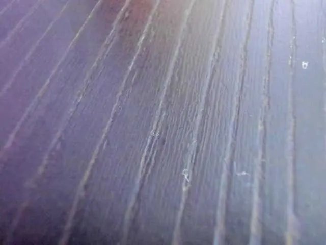 AbbyJhonsS on BongaCams 