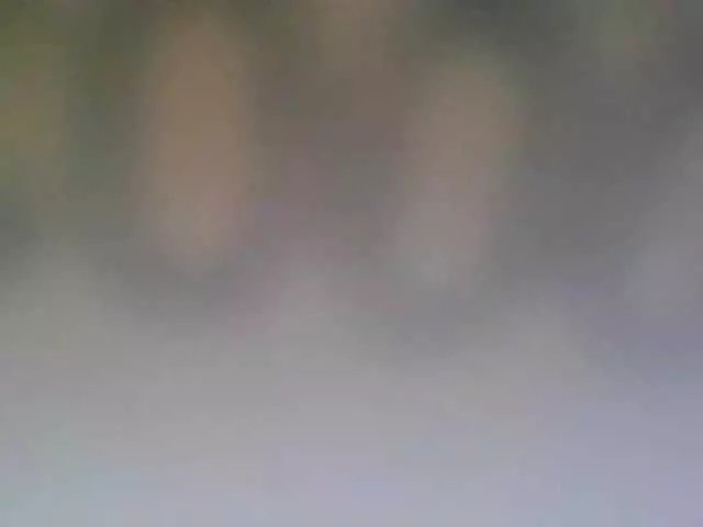 Adel0299 on BongaCams