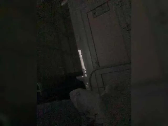 bryzgiduo on BongaCams