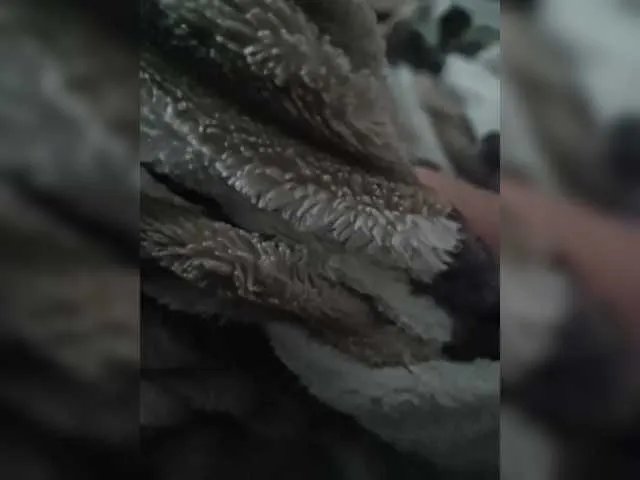 Freechat Chelsi16 on BongaCams