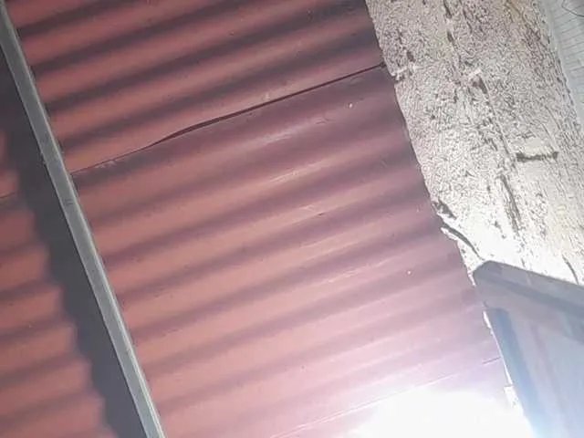 chizuqui-25 — Freechat on BongaCams