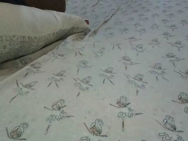 Freechat cutelizah on BongaCams