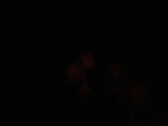 Di-Quodnone — Assembling on a normal camera  @total assembled @sofar left @remain 