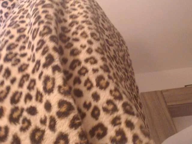 DivineBlond on BongaCams