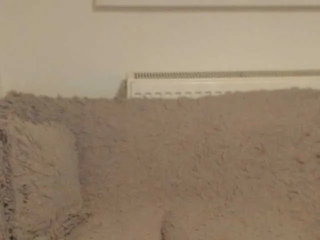 EdenaVega on BongaCams