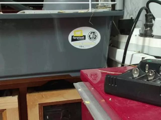 enchaleur76-1 on BongaCams