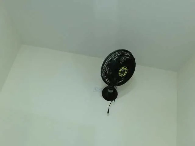 Evamills on BongaCams