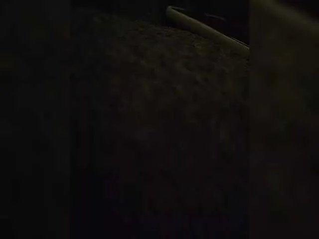 EvelynDreamy on BongaCams