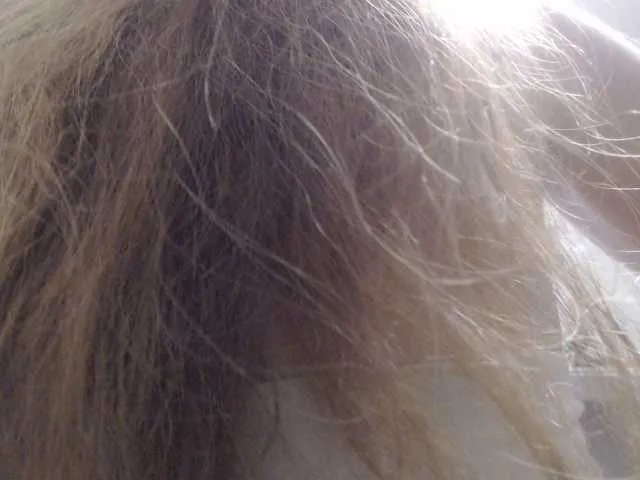 GLAMYR252 on BongaCams