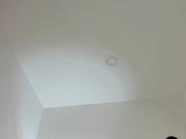 HarleyQueen666 on BongaCams