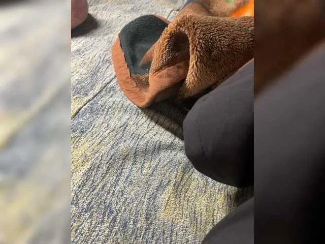 Freechat hotpars on BongaCams