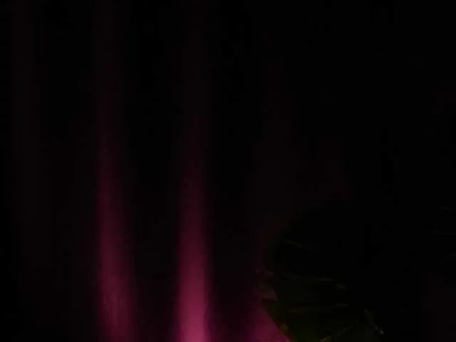 KarsynJayde on BongaCams