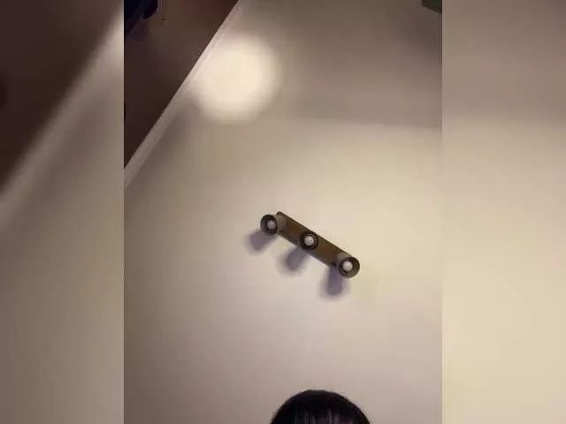 lanysikk on BongaCams