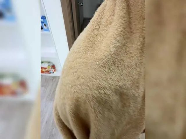 lean-lie on BongaCams