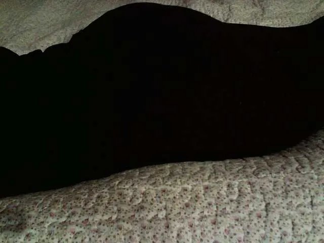 Freechat liZAAAZ on BongaCams