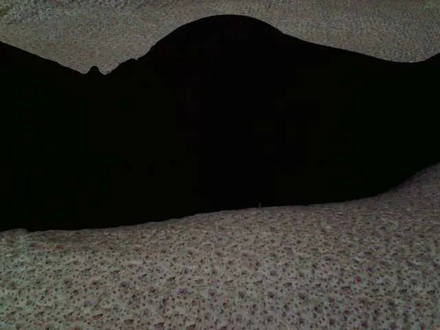 Freechat liZAAAZ on BongaCams