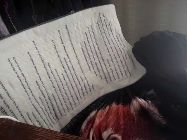 mermaidlexi on BongaCams