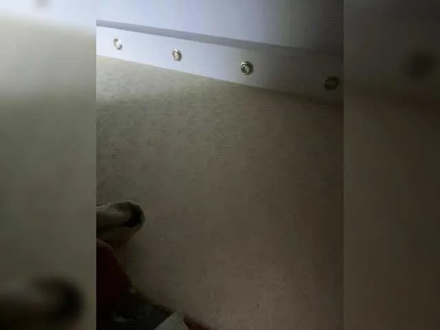 Milaniya96 on BongaCams