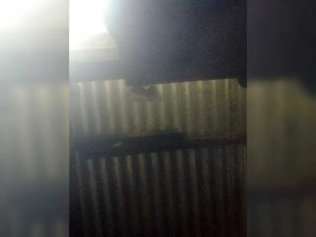 myoneandonly on BongaCams