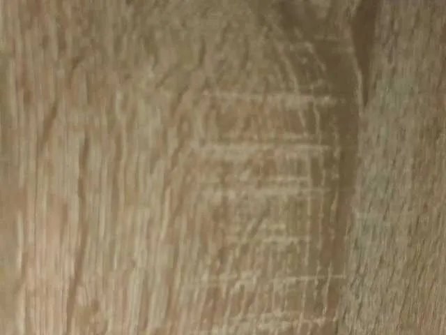 NoFaceModel on BongaCams