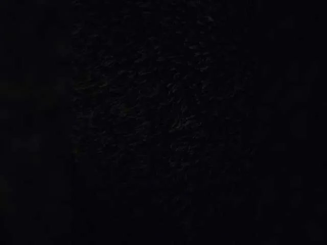 Freechat qwersad33 on BongaCams