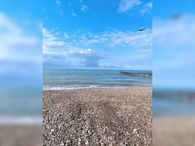 Freechat RigliBiz on BongaCams