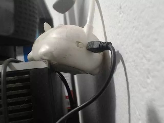 saimajayeb on BongaCams