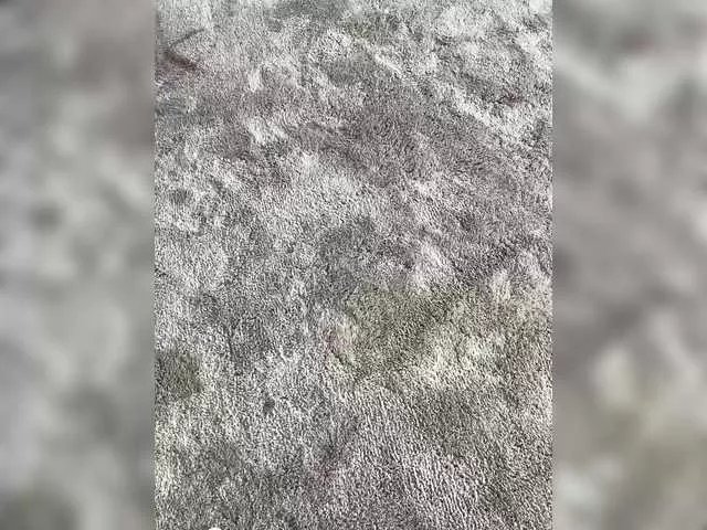 Freechat SophieMary on BongaCams