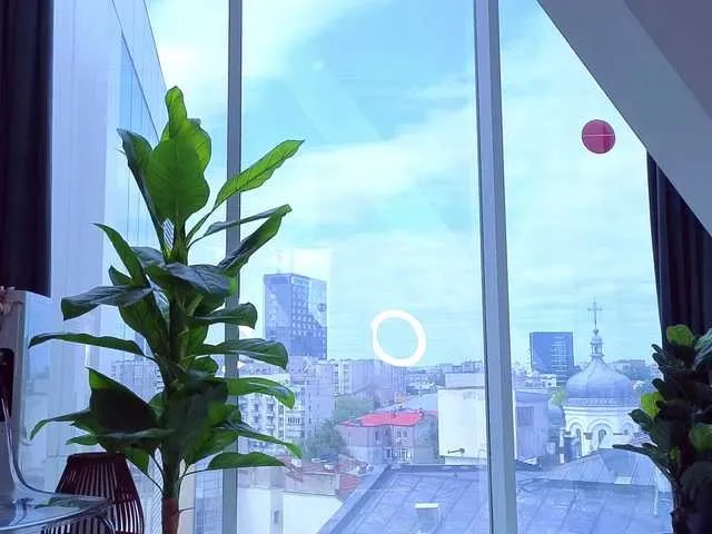 Freechat SpoilM3Mor3 on BongaCams