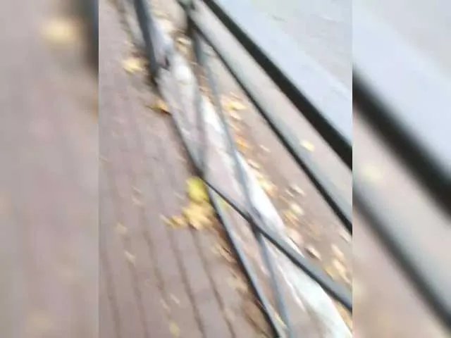 StacyMilk on BongaCams