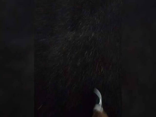 StacyMilk on BongaCams