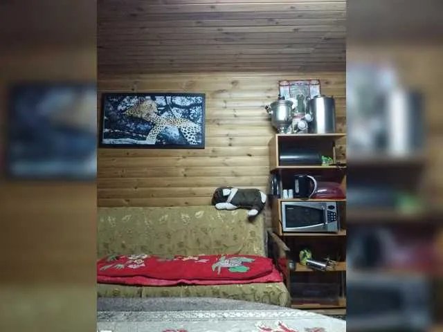 Swit777 on BongaCams