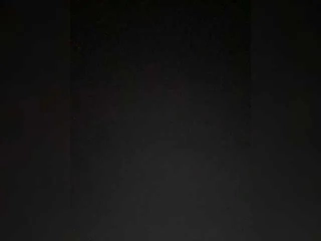 TheDime on BongaCams