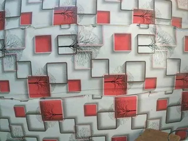 TriciaBella on BongaCams