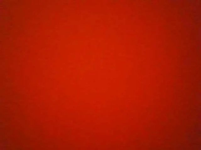 WildFlowerRose — Freechat on BongaCams