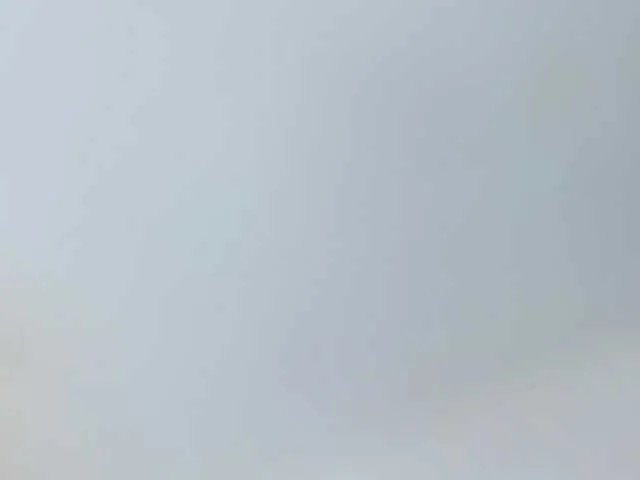 ZafiraNavarro — Freechat on BongaCams