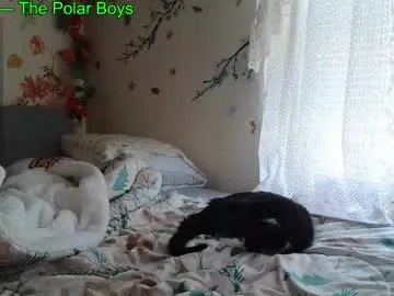 Freechat aliceriverscam on Chaturbate