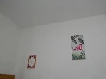 brafantasy on Chaturbate