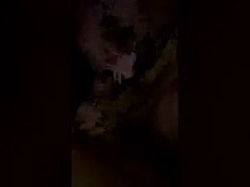 lilie303 — help us reach our goals so we come back everyday!<3 #hugecock #smalltits [3293 tokens remaining]