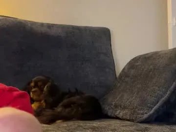 Chaturbate sextownsix is Freechat sextownsix — Hello, my name is Nikki! Love pvt show! #anal #pvt #redhead