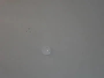 viennavisabelle on Chaturbate