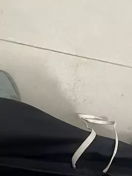 012ptaDickBBC on StripChat