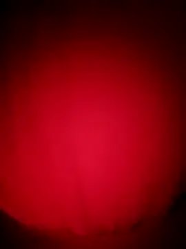 ___Erin___ on StripChat