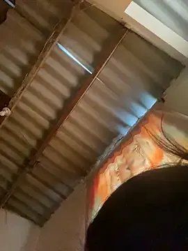 AlexaWarner — Erotic Hard Cock  "20cm"