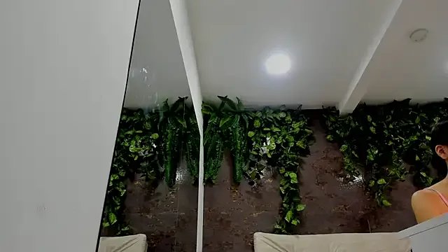 Freechat alice_greco on StripChat