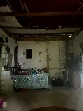 amy_gata on StripChat