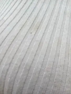 chaoanh11 — Mong c ng h