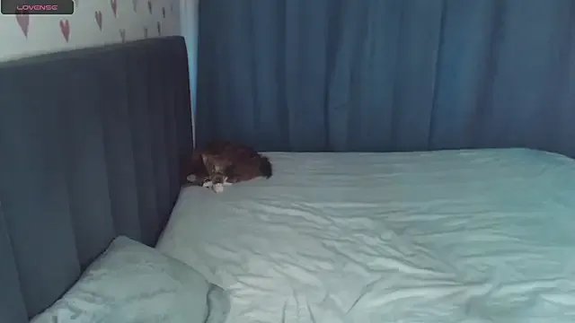 ChloeSunny on StripChat