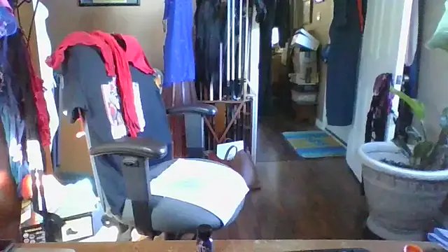 Daremeknot on StripChat