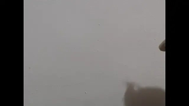 Freechat Dayse_Harrison on StripChat